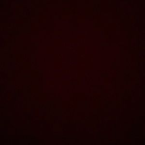 Meet your Posher, Damian